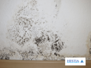 condentation humidité bas de mur