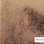 condentation humidité sur mur