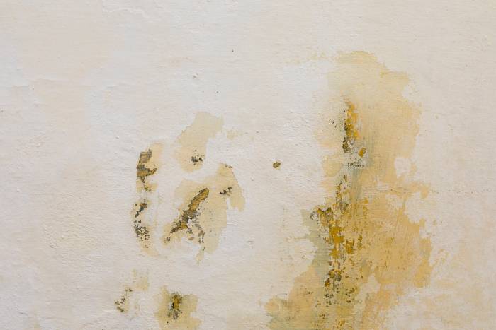 Mur humide dans une copropriété