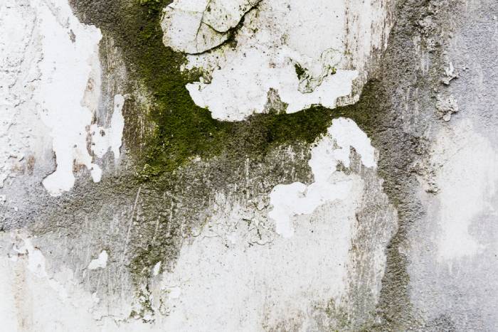 Mur humide d'un immeuble à Paris