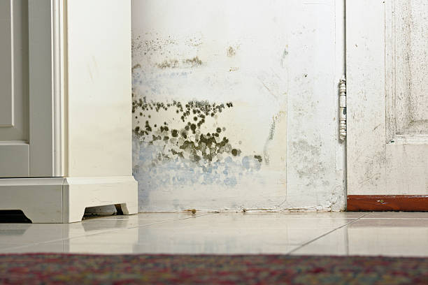 condensation-appartement-paris