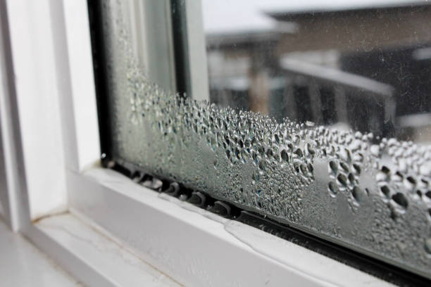Diagnostic Condensation en Ile de France