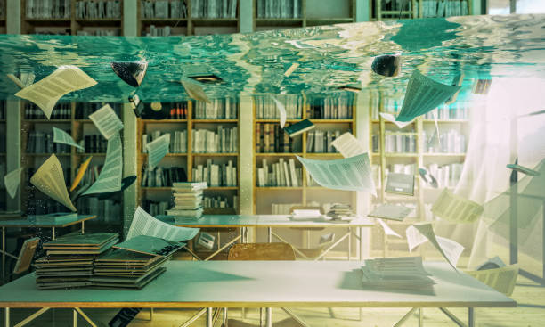 Humidité dans une bibliothèque