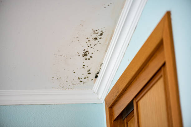 Humidité au plafond d'un maison